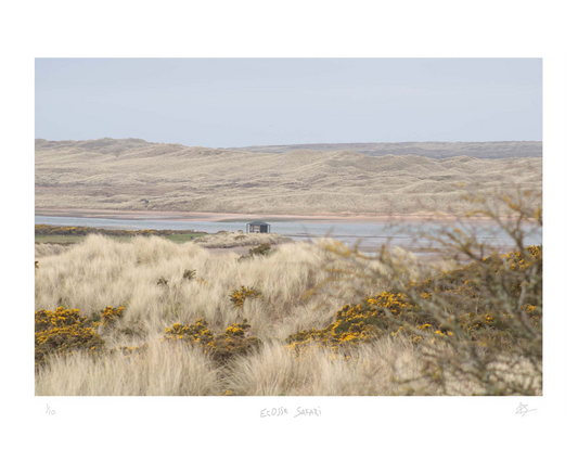 Ecosse Safari — A2 — sans cadre