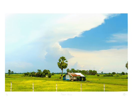 Paddy Fields — A2 — sans cadre