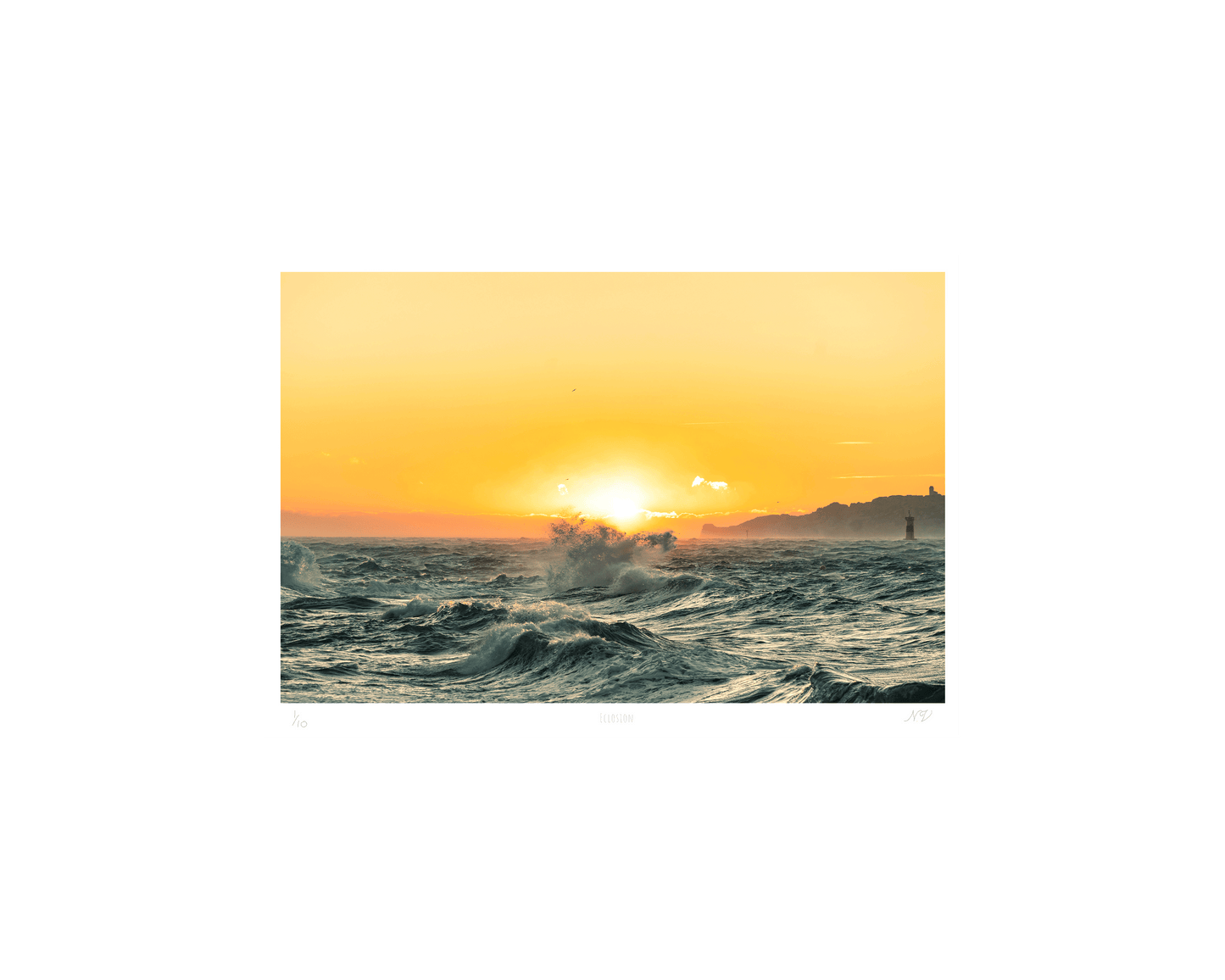 Éclosion — A4 — sans cadre