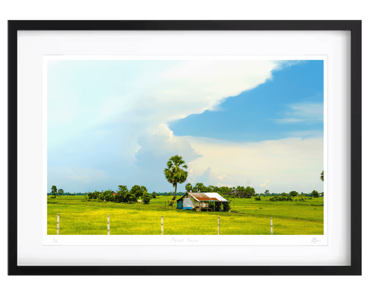 Paddy Fields — A2 — cadre noir